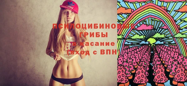 первитин Нея
