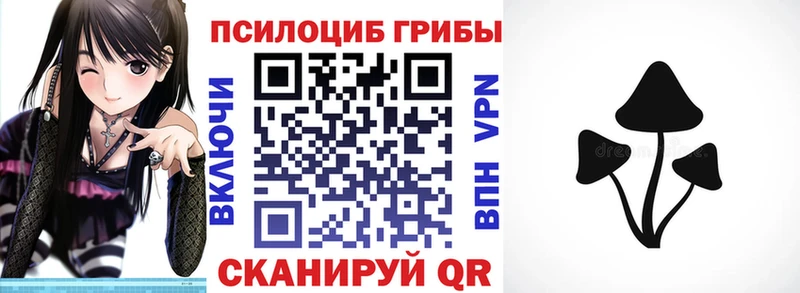 где продают наркотики  Шумерля  omg рабочий сайт  Псилоцибиновые грибы Cubensis 