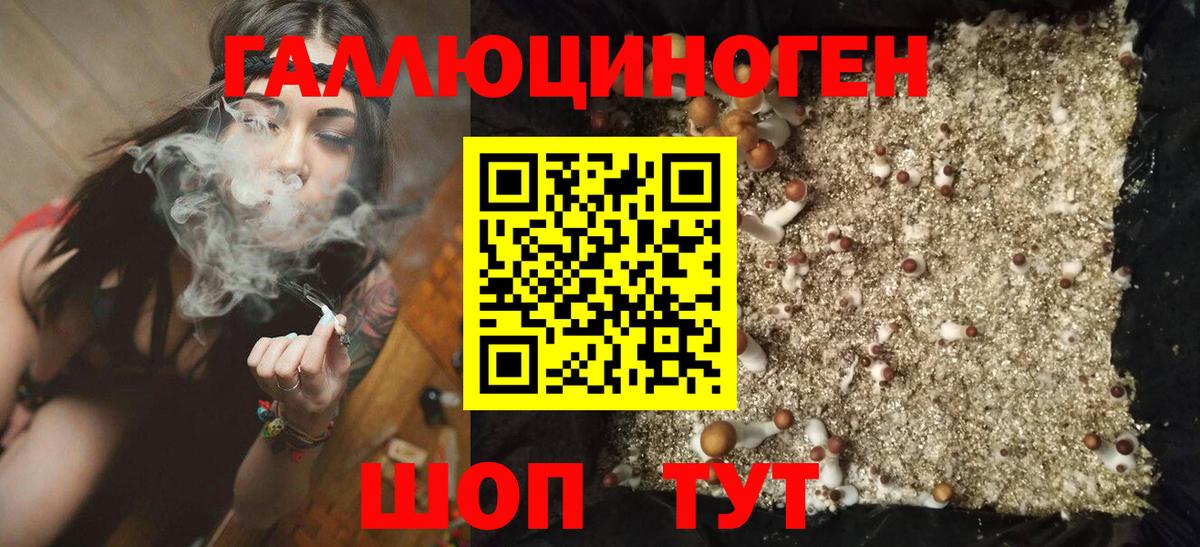 Шумерля  Псилоцибиновые грибы мухоморы  Вход с VPN 