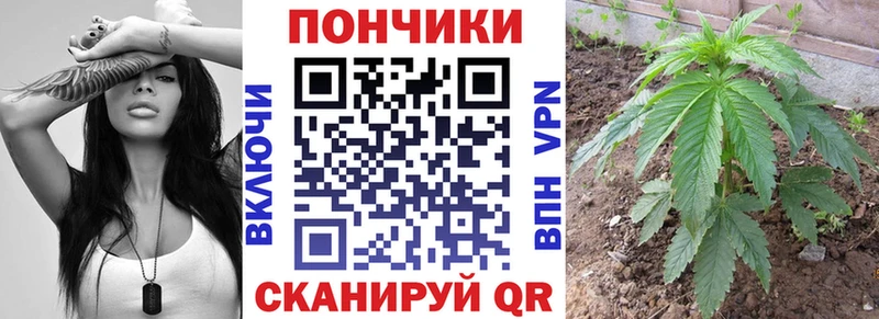 Бошки Шишки гибрид  блэк спрут как зайти  Шумерля 
